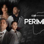 perimeter 2024 tv series review